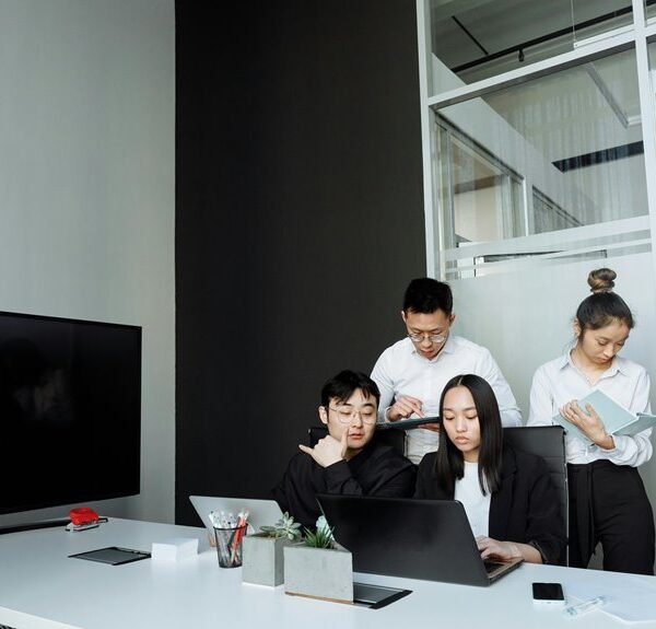 SEO Traffic Solutions 432749919 for Businesses