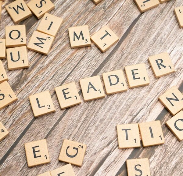 expand online authority platform