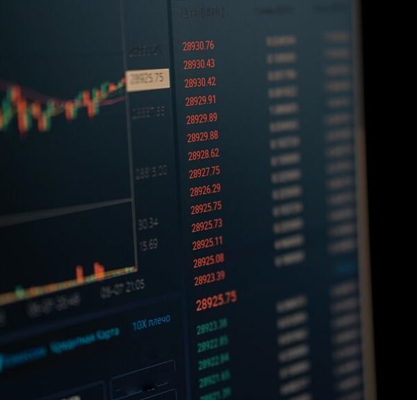 grow your digital platform marketing